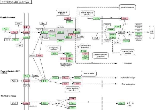 https://cdn.ncbi.nlm.nih.gov/pmc/blobs/8309/2657775/60ba23ff5656/1752-0509-3-11-6.jpg