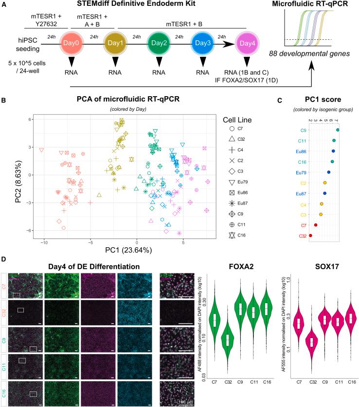https://cdn.ncbi.nlm.nih.gov/pmc/blobs/830a/12143138/a2581879b9df/gr1.jpg