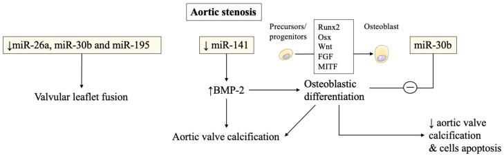 https://cdn.ncbi.nlm.nih.gov/pmc/blobs/830b/8618095/967c3753fcb2/ijms-22-12132-g001.jpg