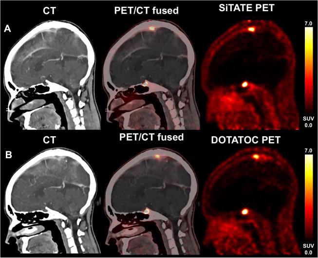 https://cdn.ncbi.nlm.nih.gov/pmc/blobs/830d/10541820/30d09813c11b/259_2023_6315_Fig4_HTML.jpg