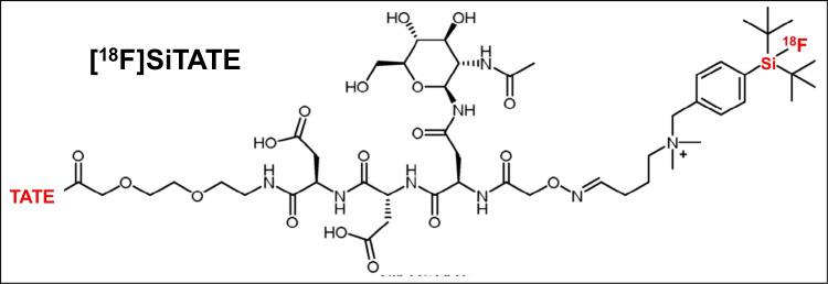 https://cdn.ncbi.nlm.nih.gov/pmc/blobs/830d/10541820/9d34de95546b/259_2023_6315_Fig1_HTML.jpg