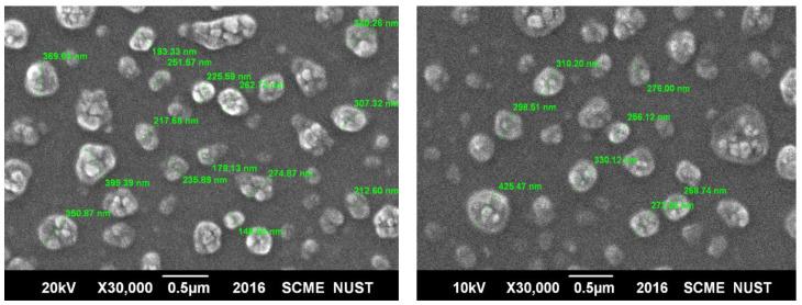 https://cdn.ncbi.nlm.nih.gov/pmc/blobs/830e/9689791/7c62235176b2/gels-08-00709-g004.jpg