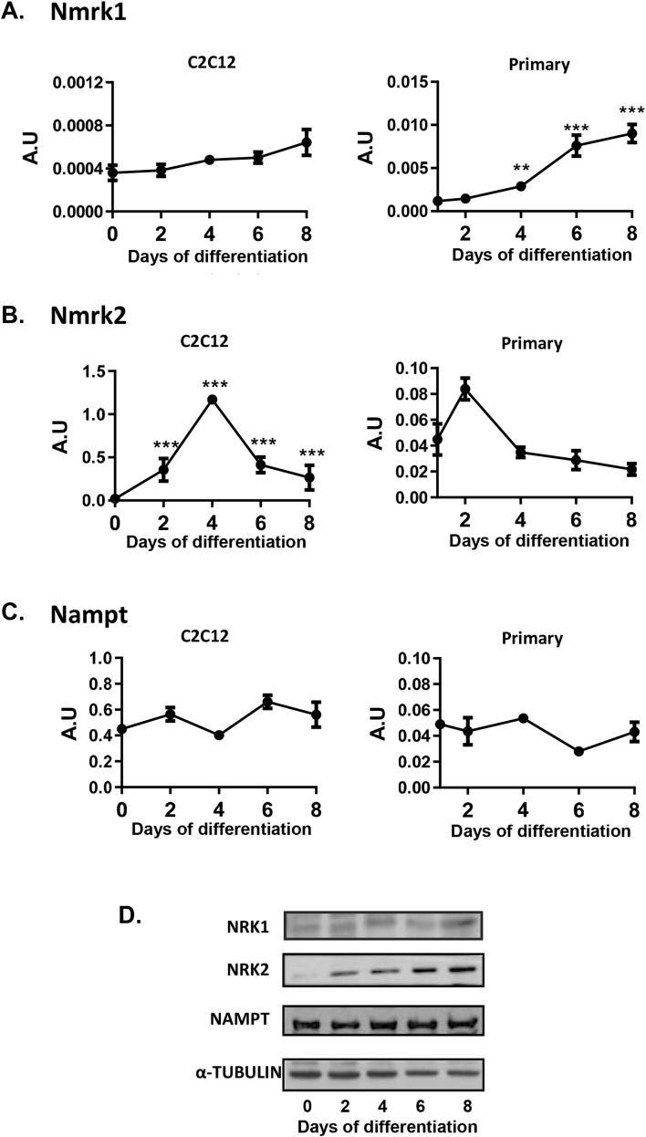 https://cdn.ncbi.nlm.nih.gov/pmc/blobs/830f/5518663/05d7db9ebd1f/gr2.jpg