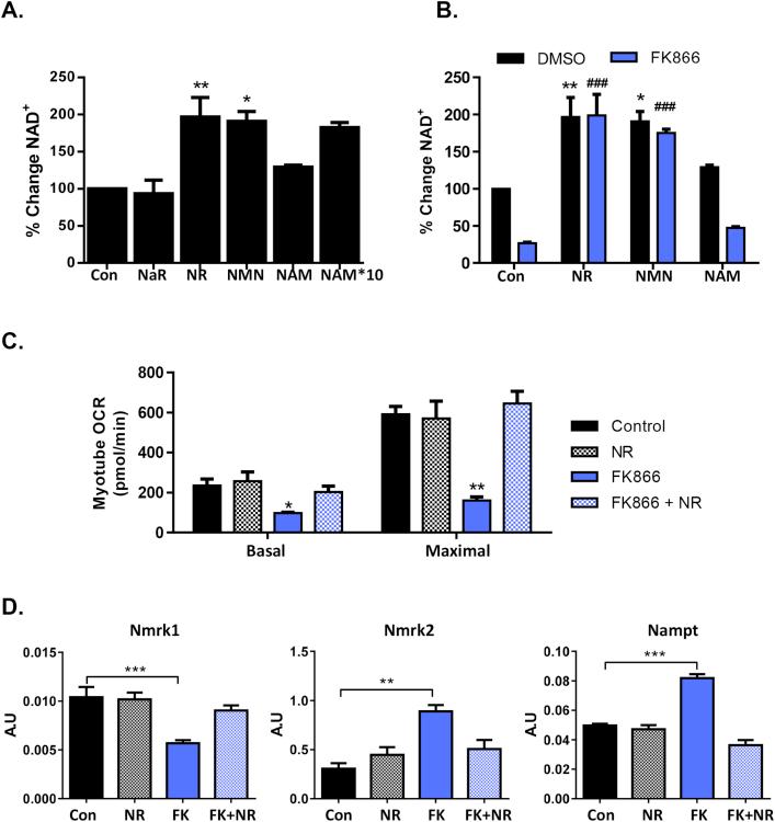 https://cdn.ncbi.nlm.nih.gov/pmc/blobs/830f/5518663/4cca2feeddca/gr3.jpg