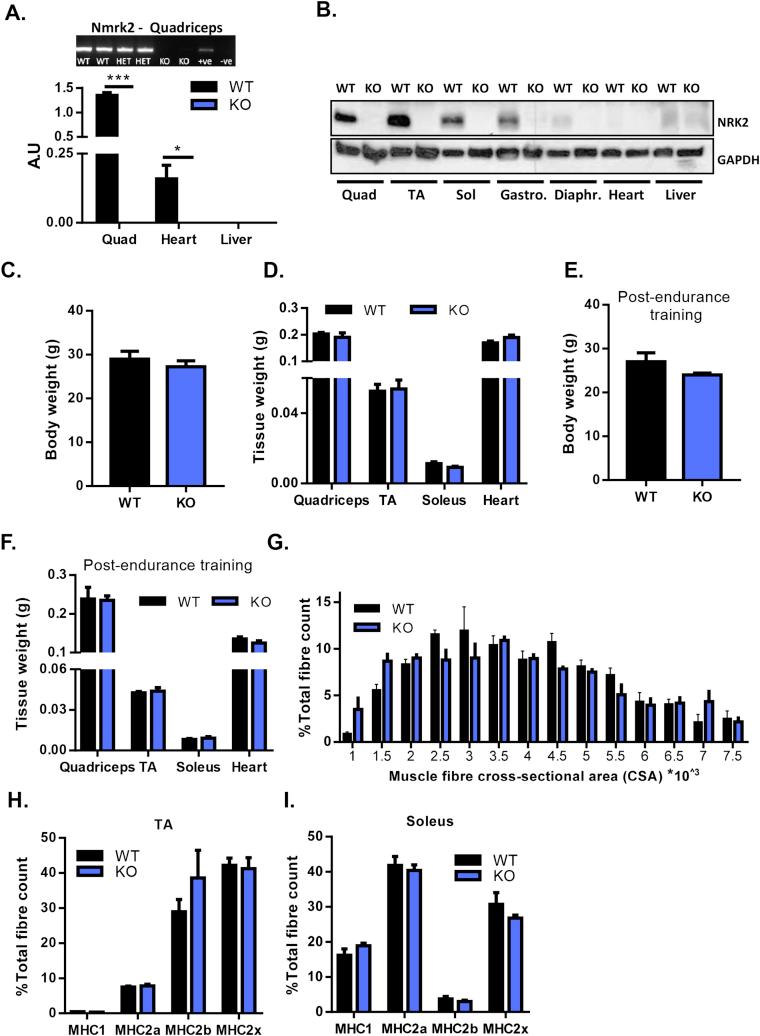 https://cdn.ncbi.nlm.nih.gov/pmc/blobs/830f/5518663/a81605784a41/gr4.jpg