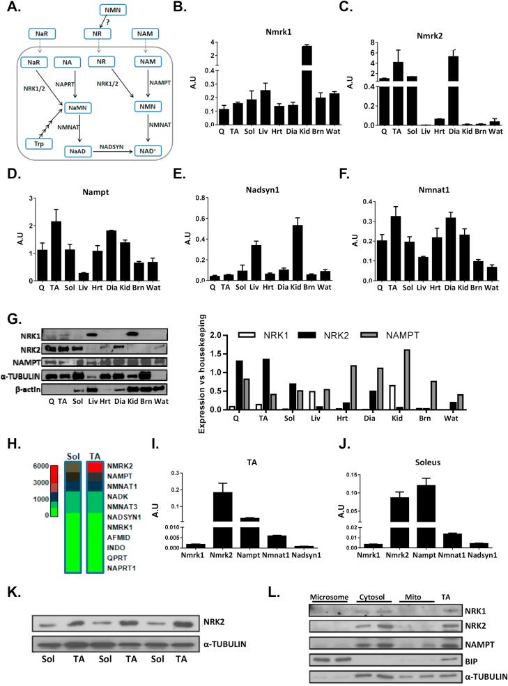 https://cdn.ncbi.nlm.nih.gov/pmc/blobs/830f/5518663/c97d0270f6cc/gr1.jpg