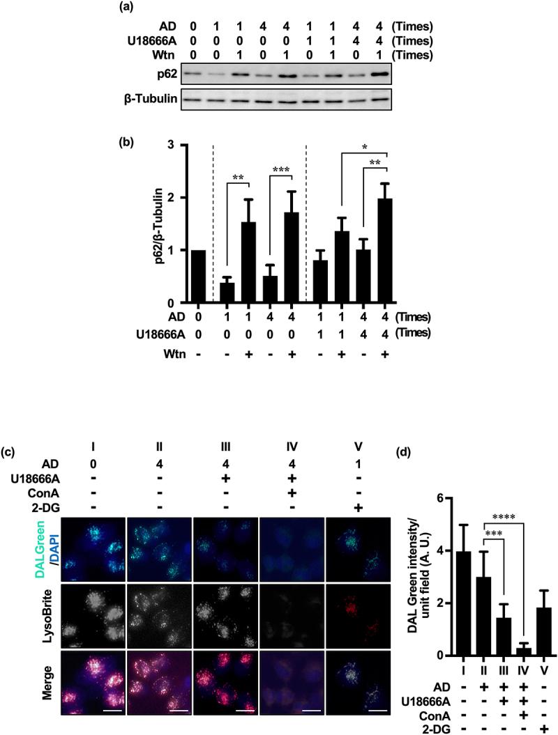 https://cdn.ncbi.nlm.nih.gov/pmc/blobs/8314/11253891/0d0f09361c14/KMCO_A_2377404_F0004_OC.jpg