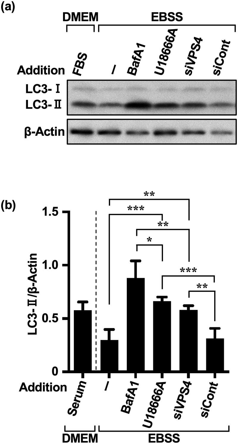 https://cdn.ncbi.nlm.nih.gov/pmc/blobs/8314/11253891/3d491f713d3b/KMCO_A_2377404_F0003_B.jpg