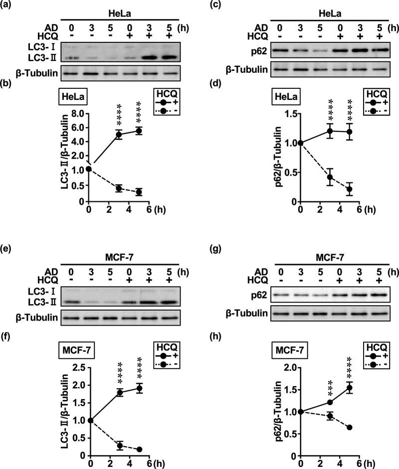 https://cdn.ncbi.nlm.nih.gov/pmc/blobs/8314/11253891/c16a8297571d/KMCO_A_2377404_F0001_B.jpg