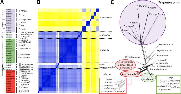 https://cdn.ncbi.nlm.nih.gov/pmc/blobs/8314/8515931/192971946a1f/spectrum.00652-21-f002.jpg