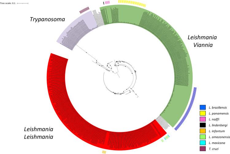 https://cdn.ncbi.nlm.nih.gov/pmc/blobs/8314/8515931/99412929f57c/spectrum.00652-21-f001.jpg