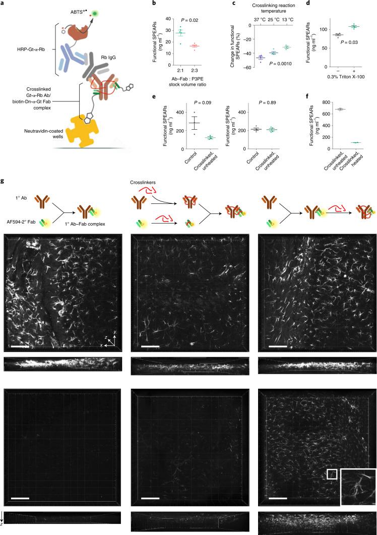 https://cdn.ncbi.nlm.nih.gov/pmc/blobs/8314/9467915/2719766908dc/41592_2022_1569_Fig2_HTML.jpg
