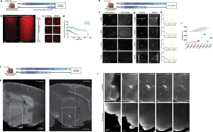 https://cdn.ncbi.nlm.nih.gov/pmc/blobs/8314/9467915/c3f51a69d539/41592_2022_1569_Fig11_ESM.jpg