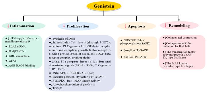 https://cdn.ncbi.nlm.nih.gov/pmc/blobs/8318/9506319/9dd8cac93da7/nutrients-14-03768-g001.jpg