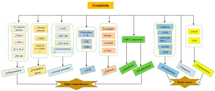 https://cdn.ncbi.nlm.nih.gov/pmc/blobs/8318/9506319/d05318309546/nutrients-14-03768-g004.jpg