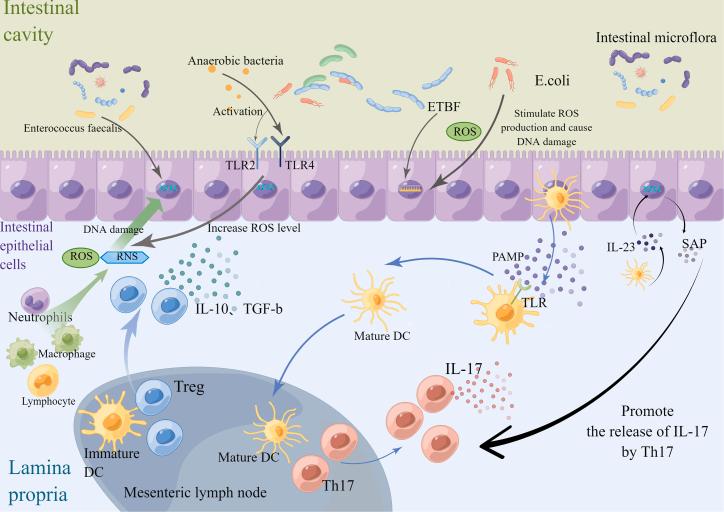 https://cdn.ncbi.nlm.nih.gov/pmc/blobs/831c/10493895/0ed11feb67e9/gr2.jpg