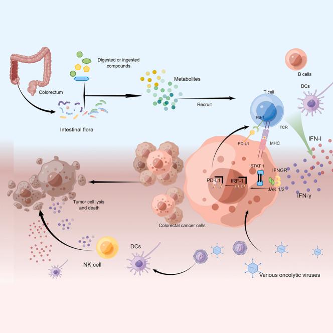 https://cdn.ncbi.nlm.nih.gov/pmc/blobs/831c/10493895/e342a01a6d20/fx1.jpg