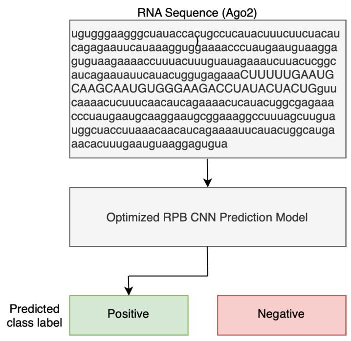 https://cdn.ncbi.nlm.nih.gov/pmc/blobs/831c/11154364/5b77bfec3b74/cimb-46-00087-g001.jpg