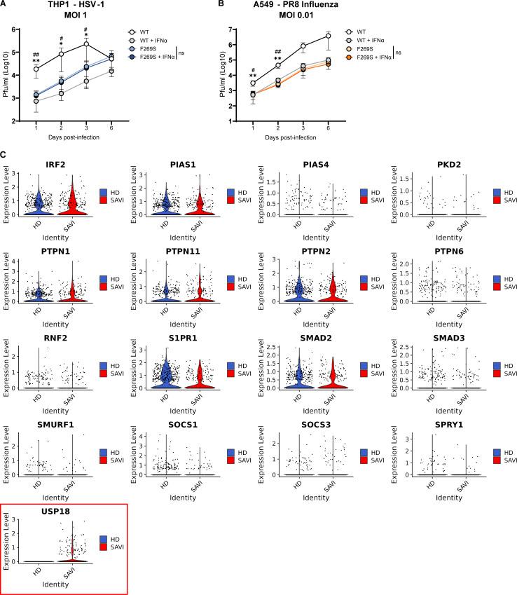 https://cdn.ncbi.nlm.nih.gov/pmc/blobs/8320/11217899/18c124e8c88d/JEM_20232167_FigS5.jpg