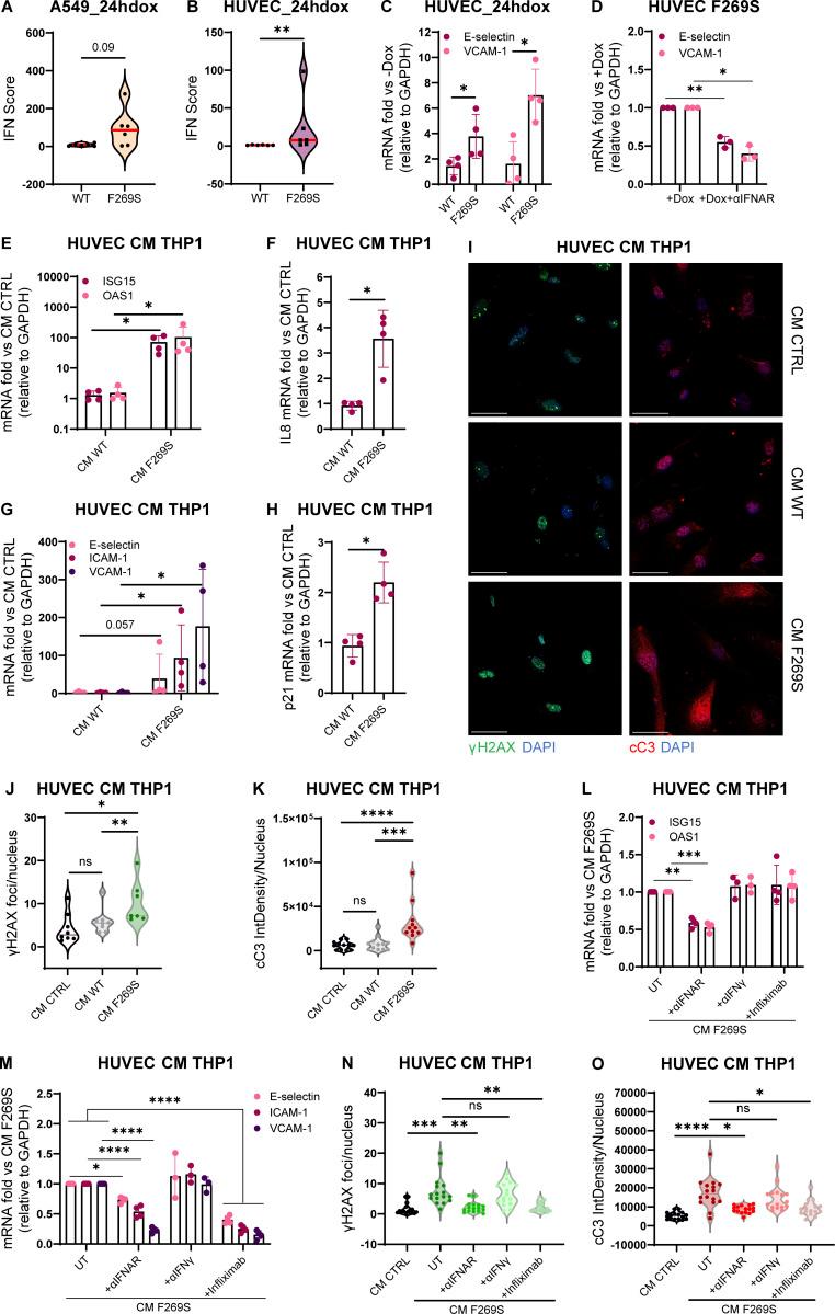 https://cdn.ncbi.nlm.nih.gov/pmc/blobs/8320/11217899/850876d639d7/JEM_20232167_Fig6.jpg