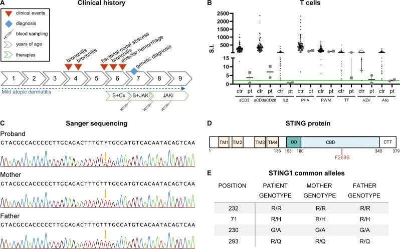https://cdn.ncbi.nlm.nih.gov/pmc/blobs/8320/11217899/cae9eee753e4/JEM_20232167_Fig1.jpg
