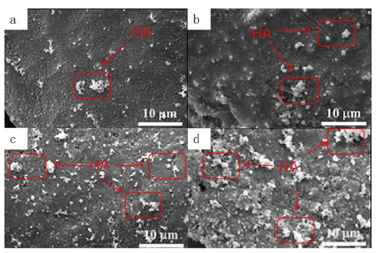 https://cdn.ncbi.nlm.nih.gov/pmc/blobs/8323/10489148/c09436803e1c/materials-16-06025-g011.jpg