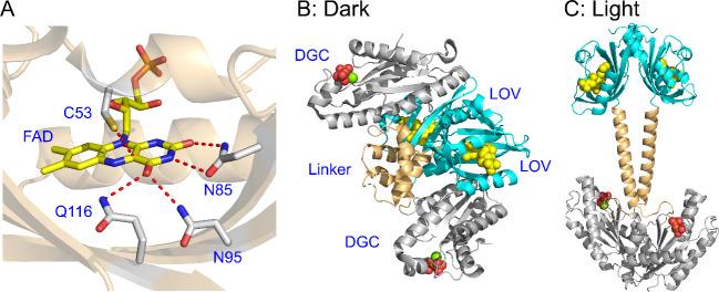 https://cdn.ncbi.nlm.nih.gov/pmc/blobs/8325/12177928/d9b81d2ffb02/bi5c00039_0014.jpg