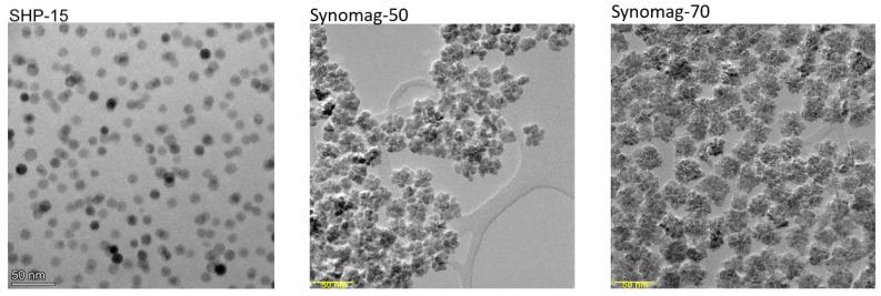 https://cdn.ncbi.nlm.nih.gov/pmc/blobs/8325/8708731/0c941ec73219/nanomaterials-11-03396-g001.jpg