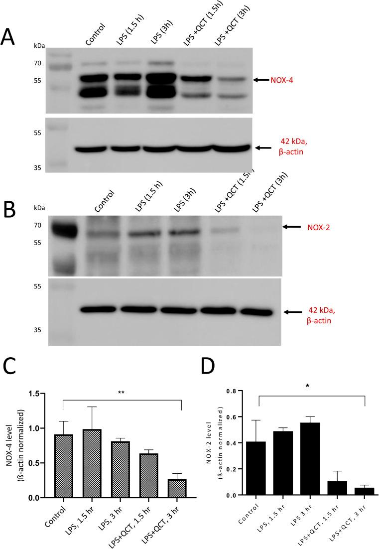 https://cdn.ncbi.nlm.nih.gov/pmc/blobs/8329/11305404/4424fd05e2d3/d4ra02739f-f7.jpg