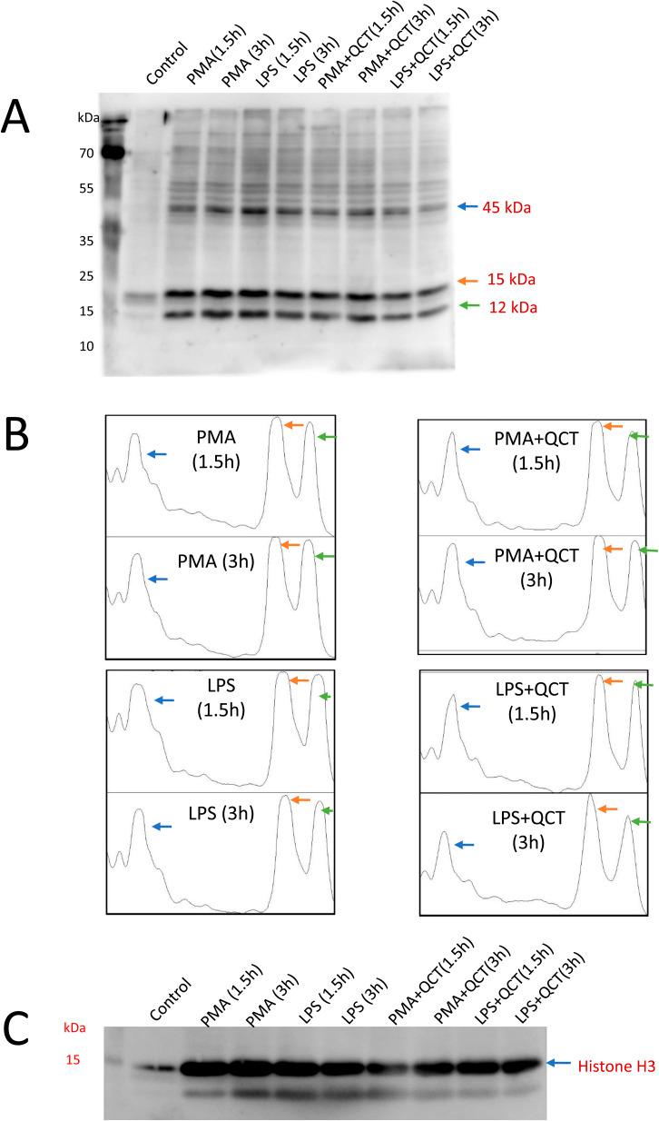 https://cdn.ncbi.nlm.nih.gov/pmc/blobs/8329/11305404/eb27f7689c4e/d4ra02739f-f5.jpg