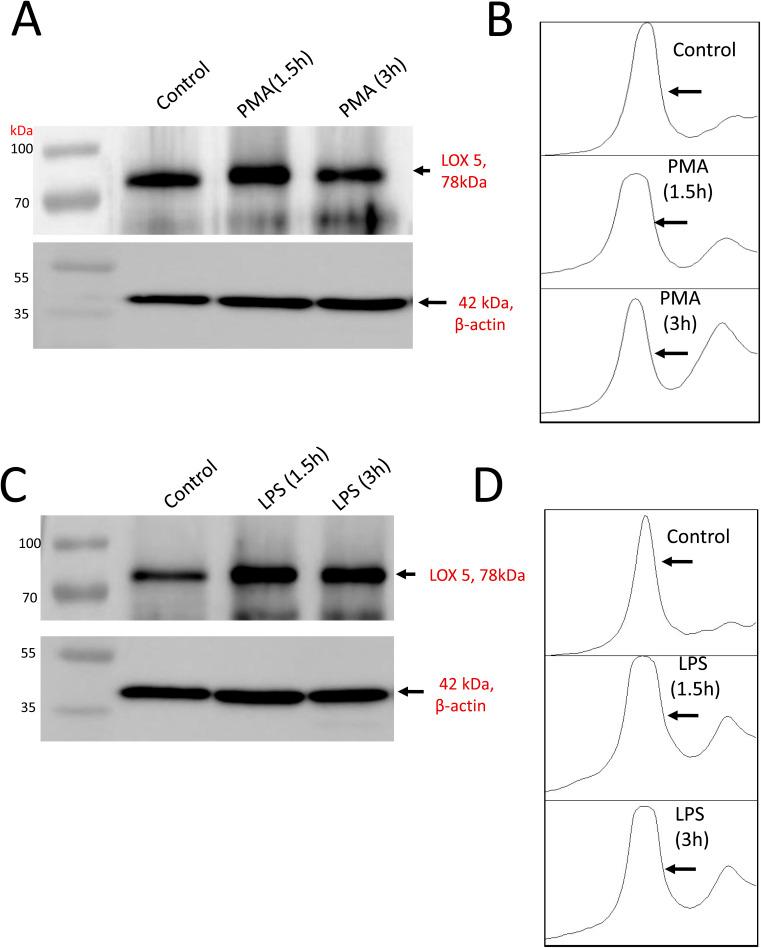 https://cdn.ncbi.nlm.nih.gov/pmc/blobs/8329/11305404/fac20c494fc6/d4ra02739f-f4.jpg
