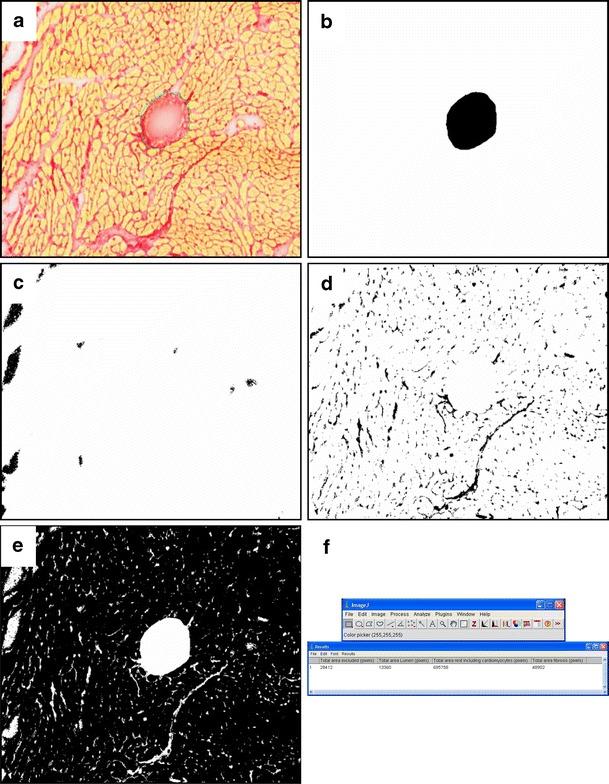 https://cdn.ncbi.nlm.nih.gov/pmc/blobs/8329/3162624/6b32b6bda8fc/13402_2011_35_Fig2_HTML.jpg
