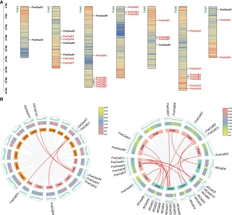 https://cdn.ncbi.nlm.nih.gov/pmc/blobs/832b/9669642/4605076595f8/fpls-13-1044029-g002.jpg