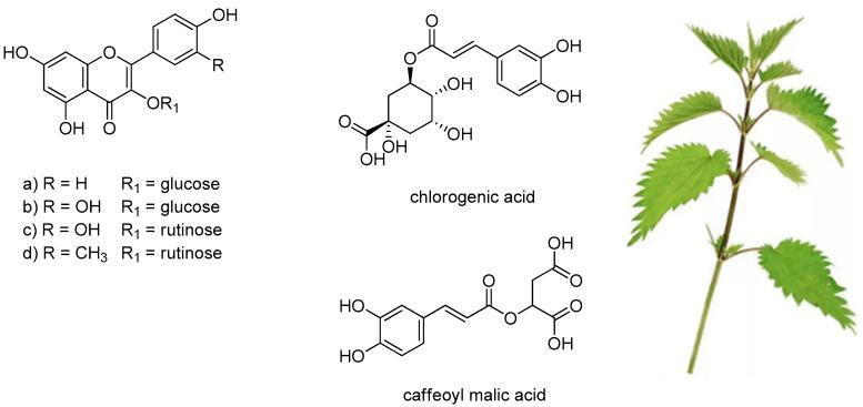 https://cdn.ncbi.nlm.nih.gov/pmc/blobs/832c/6695697/9113e5606b51/molecules-24-02753-g002.jpg