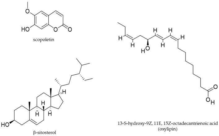 https://cdn.ncbi.nlm.nih.gov/pmc/blobs/832c/6695697/f17da01eca8a/molecules-24-02753-g003.jpg