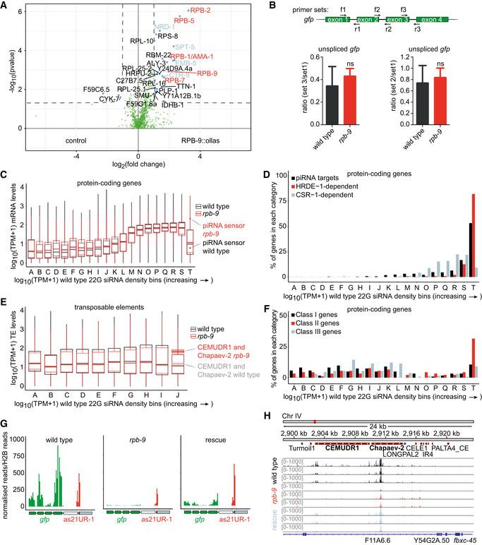 https://cdn.ncbi.nlm.nih.gov/pmc/blobs/832c/7917558/a8f8306094fb/EMBJ-40-e105565-g010.jpg