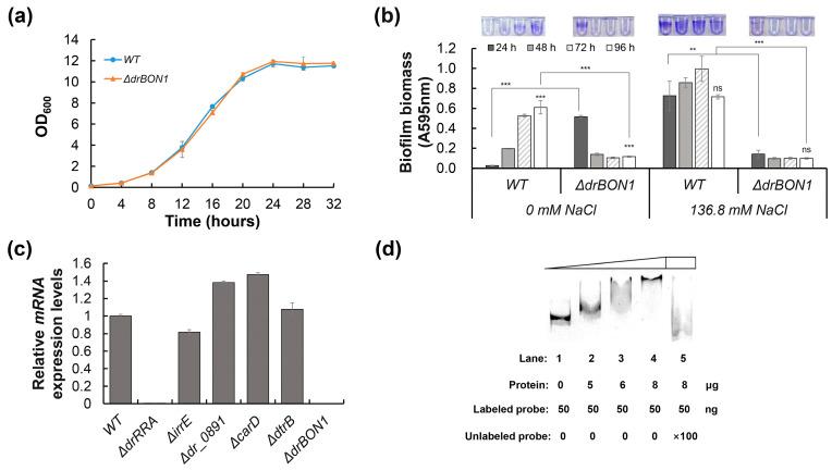 https://cdn.ncbi.nlm.nih.gov/pmc/blobs/832e/10778927/4a6082cab9b4/ijms-25-00421-g008.jpg
