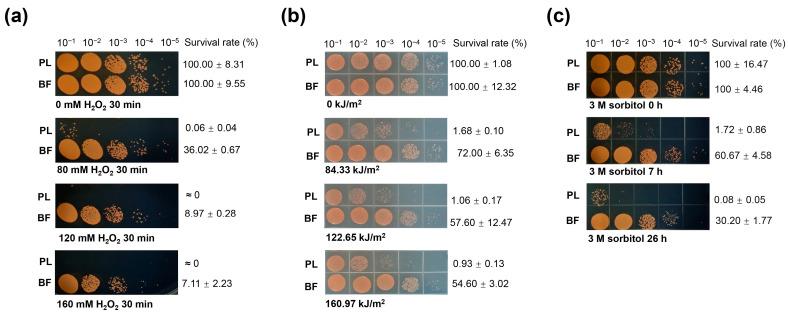 https://cdn.ncbi.nlm.nih.gov/pmc/blobs/832e/10778927/70aa9cac6839/ijms-25-00421-g004.jpg