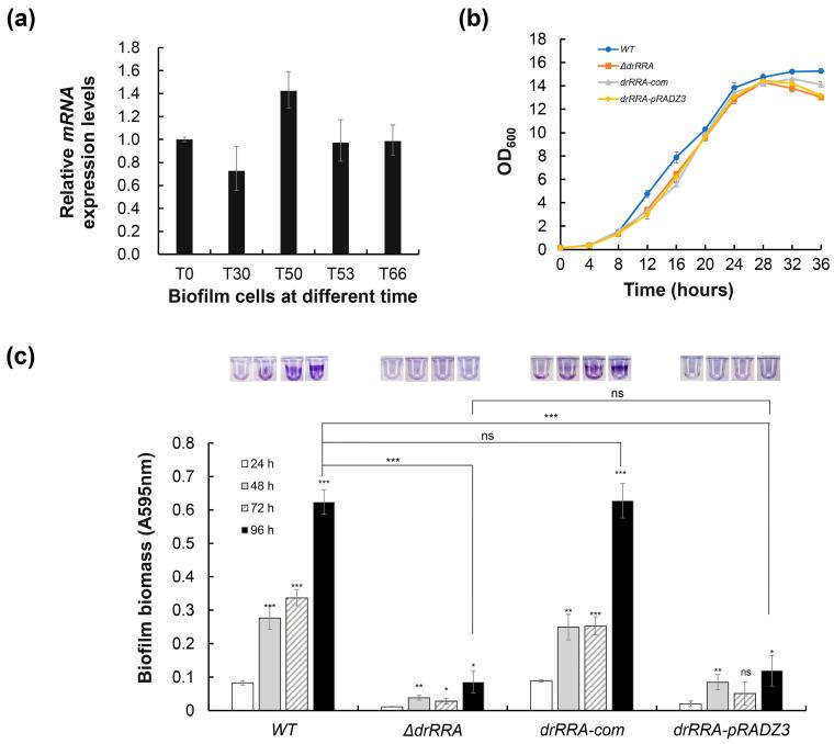 https://cdn.ncbi.nlm.nih.gov/pmc/blobs/832e/10778927/923610e46099/ijms-25-00421-g006.jpg