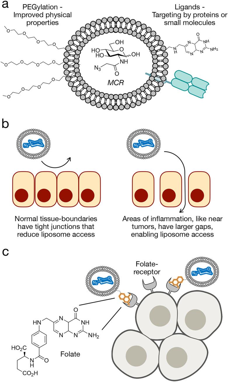 https://cdn.ncbi.nlm.nih.gov/pmc/blobs/8334/12364120/b85638364a45/d5cb00168d-f2.jpg