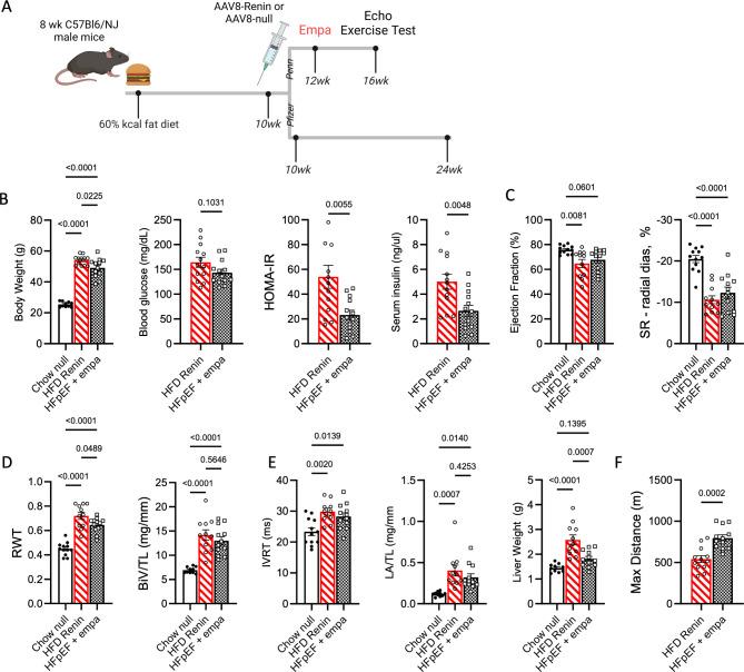 https://cdn.ncbi.nlm.nih.gov/pmc/blobs/8335/11696687/0fc5b4ebfa90/41598_2024_84515_Fig5_HTML.jpg
