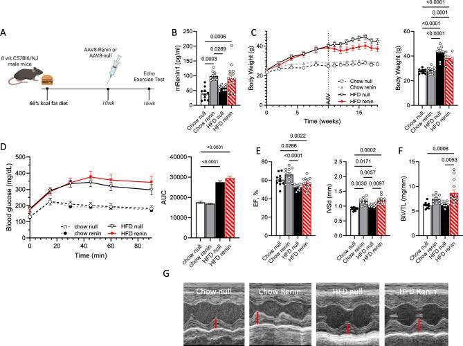 https://cdn.ncbi.nlm.nih.gov/pmc/blobs/8335/11696687/893103afa6d1/41598_2024_84515_Fig1_HTML.jpg