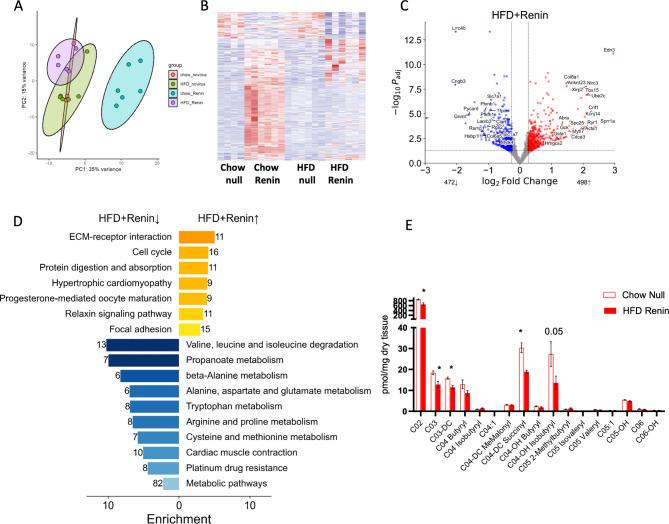 https://cdn.ncbi.nlm.nih.gov/pmc/blobs/8335/11696687/ce6dfe2bca9e/41598_2024_84515_Fig4_HTML.jpg