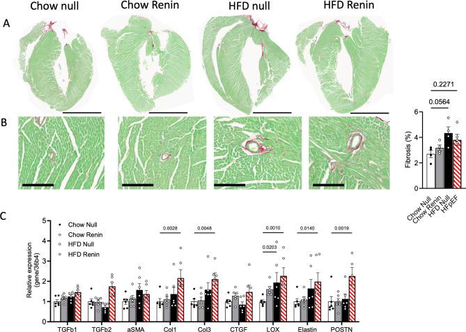 https://cdn.ncbi.nlm.nih.gov/pmc/blobs/8335/11696687/e8ee6628cfc2/41598_2024_84515_Fig3_HTML.jpg