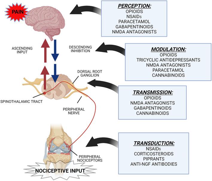 https://cdn.ncbi.nlm.nih.gov/pmc/blobs/8335/9790257/c0b691bc3970/JSAP-63-721-g001.jpg