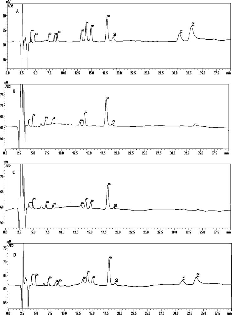 https://cdn.ncbi.nlm.nih.gov/pmc/blobs/8336/6545449/efbd33a4c812/gr2.jpg