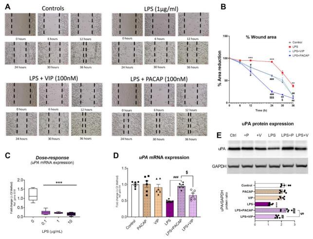 https://cdn.ncbi.nlm.nih.gov/pmc/blobs/8336/8535941/7df67cf71597/ijms-22-10947-g010.jpg
