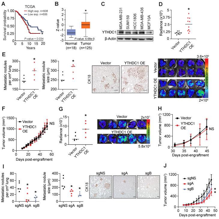 https://cdn.ncbi.nlm.nih.gov/pmc/blobs/8337/9373808/52827cdebe2f/thnov12p5727g001.jpg