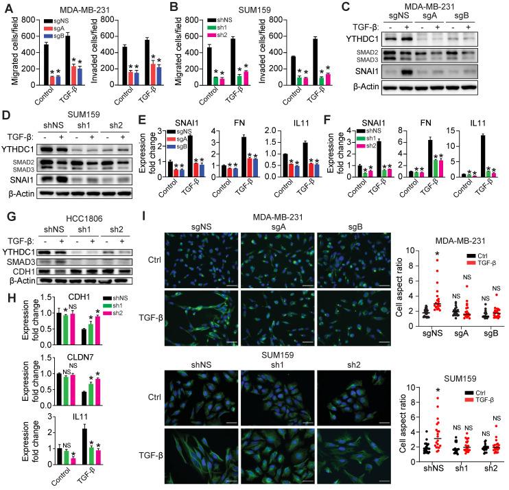 https://cdn.ncbi.nlm.nih.gov/pmc/blobs/8337/9373808/5da3be117ba3/thnov12p5727g004.jpg