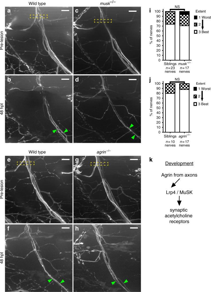 https://cdn.ncbi.nlm.nih.gov/pmc/blobs/8338/6008306/d8da654f678c/41467_2018_4806_Fig4_HTML.jpg
